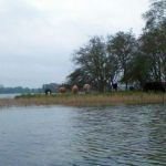 Paddeln-Krakower-See-016
