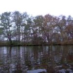 Paddeln-Krakower-See-023