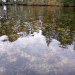 Paddeln-Krakower-See-024