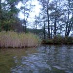 Paddeln-Krakower-See-026
