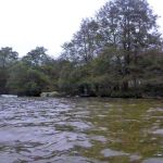 Paddeln-Krakower-See-036