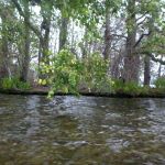 Paddeln-Krakower-See-041