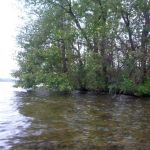 Paddeln-Krakower-See-043