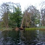 Paddeln-Krakower-See-062