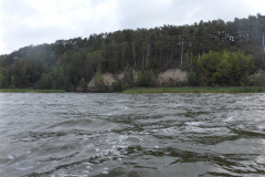 P1000807