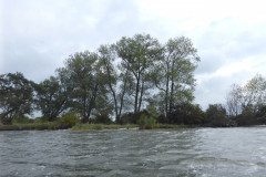 P1000832