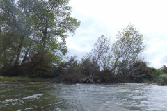 P1000834