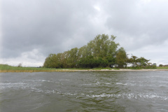 P1000885