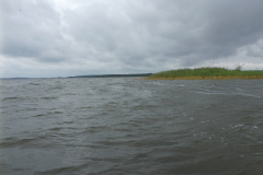 P1000886