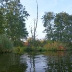 Peene-Jarmen-Liepen-Stolpe-010