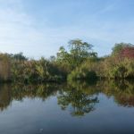 Peene-Jarmen-Liepen-Stolpe-012