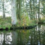 Peene-Jarmen-Liepen-Stolpe-017