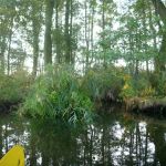 Peene-Jarmen-Liepen-Stolpe-018