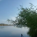 Peene-Jarmen-Liepen-Stolpe-022