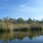 Peene-Jarmen-Liepen-Stolpe-039