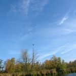 Peene-Jarmen-Liepen-Stolpe-044