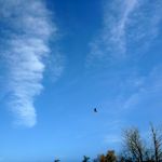 Peene-Jarmen-Liepen-Stolpe-045