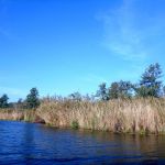 Peene-Jarmen-Liepen-Stolpe-106