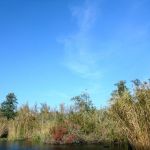 Peene-Jarmen-Liepen-Stolpe-107