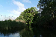 IMG_20220527_080522