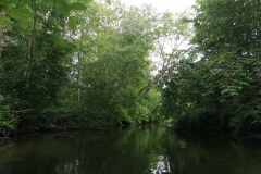 IMG_20220527_083849