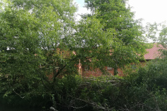 IMG_20220527_083944