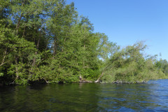 P1010283