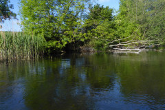 P1010291