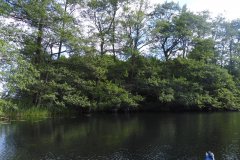 P1010309