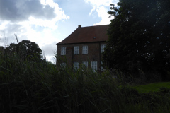 P1010323