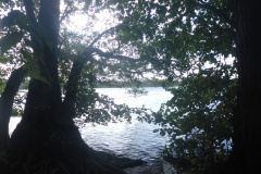 P1010331