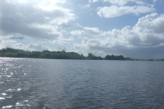 P1010335
