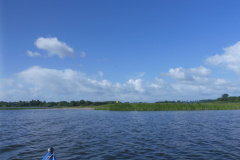 P1010346
