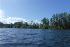 P1010366