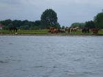 Insel Poel p1010952