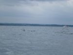 Insel Poel p1010966