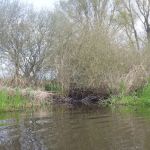 hro1.de_recknitz_0858