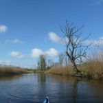 hro1.de_recknitz_0869