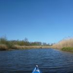 hro1.de_recknitz_0878