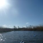 hro1.de_recknitz_0879