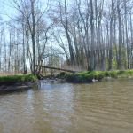 hro1.de_recknitz_0889