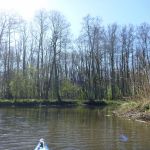 hro1.de_recknitz_0890