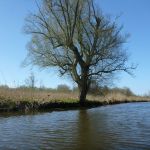 hro1.de_recknitz_0894