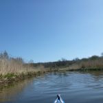 hro1.de_recknitz_0896