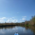 hro1.de_recknitz_0897