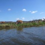 hro1.de_recknitz_0909