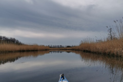 IMG-20220414-WA0004