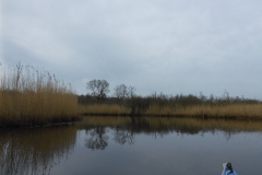 P1000998