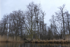 P1010001