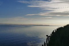 IMG-20210628-WA0000